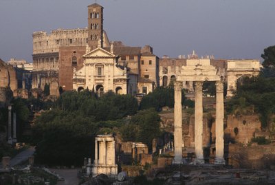 Uitzicht op het Forum door Roman